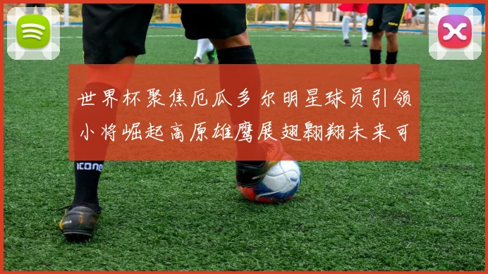 世界杯聚焦厄瓜多尔明星球员引领小将崛起高原雄鹰展翅翱翔未来可期