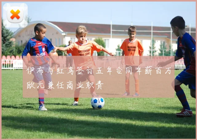 伊布与红鸟签订五年合同年薪百万欧元兼任商业职责